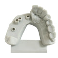 GODOO - Model Resin 3.0
